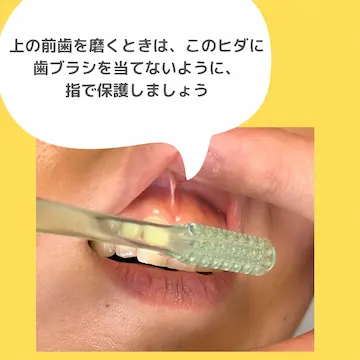 仕上げ磨き 前歯のみがき方