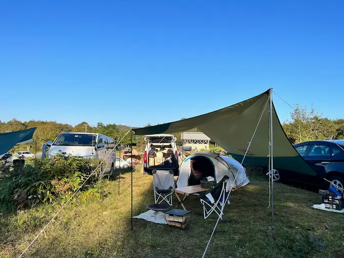 フリーサイトの様子